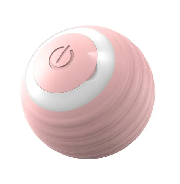 Interactive Pet Motion Ball