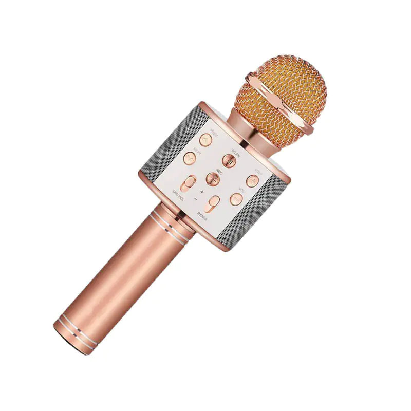 Wireless Karaoke Microphone