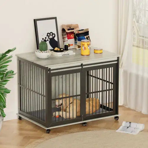 Sliding Furniture-Style Dog Cage