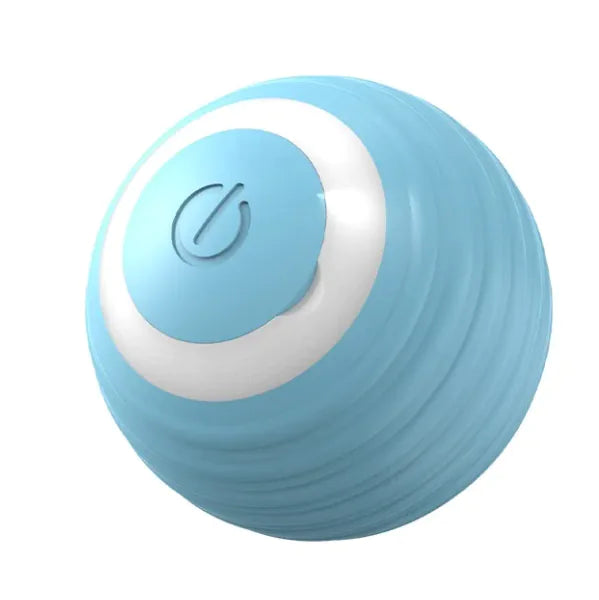Interactive Pet Motion Ball