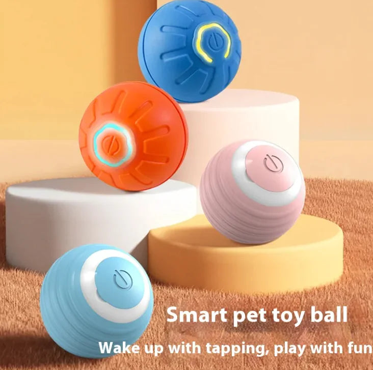 Interactive Pet Motion Ball