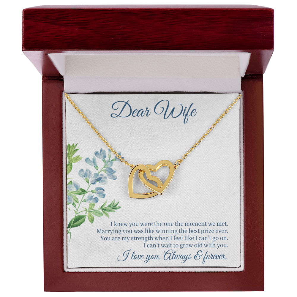 Interlocking Hearts Necklace - For Wife I Knew You Were The One