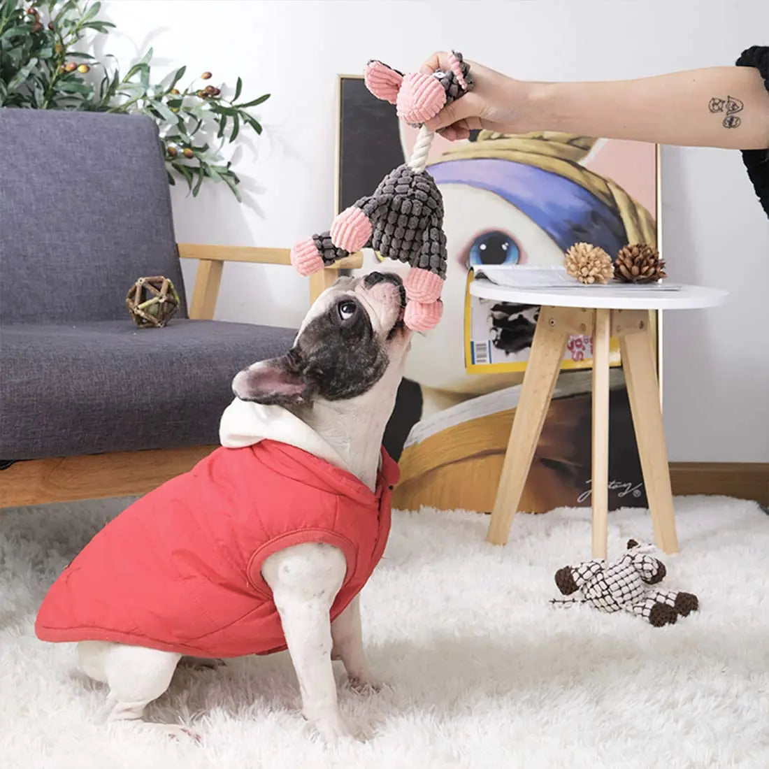 Interactive Plush Dog Toy